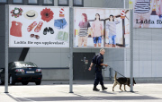 Two dead in knife attack at IKEA in Sweden