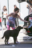 Janice Dickinson gives her Pooch a Lift in Beverly Hills