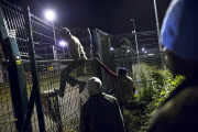 Calais Eurotunnel migrants