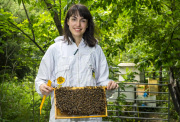 Young beekeeper Hannah Reeves