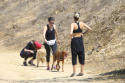 *EXCLUSIVE* Miley Cyrus multitasks on a hike in the hills with friends