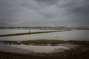 Burma's Rohingya refugee crisis