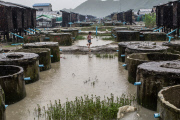 Burma's Rohingya refugee crisis