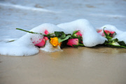 32nd birthday of Reeva Steenkamp is marked on Pollock Beach, Port Elizabeth, South Africa - 19 Aug 2015
