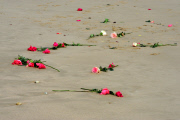 32nd birthday of Reeva Steenkamp is marked on Pollock Beach, Port Elizabeth, South Africa - 19 Aug 2015