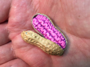 Peanut art, America  - Jun 2015