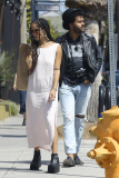 *EXCLUSIVE* Zoe Kravitz getting close to singer Twin Shadows in Venice