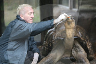 Inventur: Das alljährliche Messen und Wägen der Tiere im London Zoo