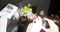 Benedict Cumberbatch von Fans umzingelt