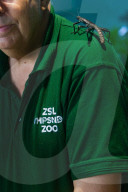 Weigh-in at ZSL Whipsnade Zoo, Bedfordshire, Britain - 26 Aug 2015