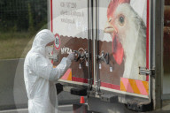 NEWS: Österreich: 70 illegale Einwanderer sterben in Lastwagen