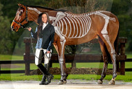 FEATURE:  Rennpferd Haka Man hat noch alle Knochen beisammen