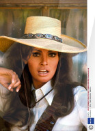 'Bandolero !' - Film - 1968