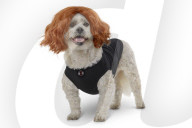 FEATURE: Kleider machen Hunde