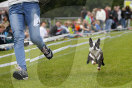 FEATURE: Mopsrennen in Wernau