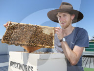 FEATURE: Imker Jack Stone knuddelt seinen Bienenstock 