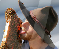 FEATURE: Imker Jack Stone knuddelt seinen Bienenstock 