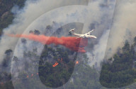 NEWS: Waldbrand nahe der französichen Stadt Menton