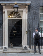 FEATURE: Larry die Katze bezieht Stellung vor der Downing Street 10