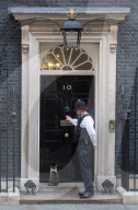 FEATURE: Larry die Katze bezieht Stellung vor der Downing Street 10