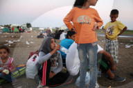 NEWS: Flüchtlinge an der ungarischen Grenze (weitere Bilder)