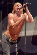PEOPLE: Rockt die BÃ¼hne wie ein Jungspund: Iggy Pop