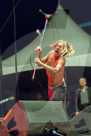 PEOPLE: Rockt die BÃ¼hne wie ein Jungspund: Iggy Pop