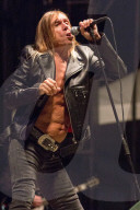 PEOPLE: Rockt die BÃ¼hne wie ein Jungspund: Iggy Pop