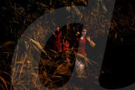 NEWS: Flüchtlinge schlafen in Zelten und im Freien an der serbisch-ungarischen Grenze