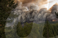REPORTAGE: Feuer in Kalifornien 
