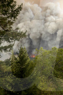 REPORTAGE: Feuer in Kalifornien 