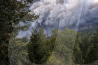REPORTAGE: Feuer in Kalifornien 