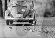 REPORTAGE: VW - Die gute alte Zeit