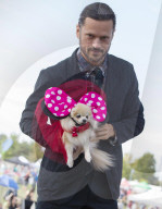 FEATURE: Auch Hunde haben eine Modeshow