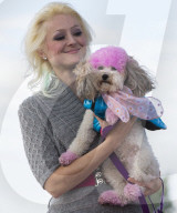 FEATURE: Auch Hunde haben eine Modeshow