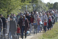 NEWS: Flüchtlingsstrom an der Ungarisch-Österreichichen Grenze