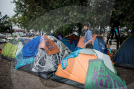 NEWS: Serbien/Kroatien - Flüchtlingsstrom nimmt nicht ab