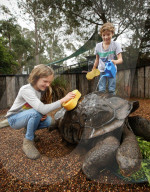 FEATURE: Waschen - Legen: Die Riesenschildkröte Dippy wird geschrubbt