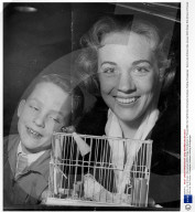 Dame Julie Andrews (dbe January 2000) Singer And Actress Is Pictured With Her Half Brother Christopher Andrews Holding A Budgerigar. 