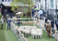 FEATURE: Woll-Woche an der Saville Strasse in London