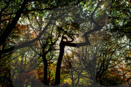 FEATURE: So schön ist der Herbst in Yorkshire