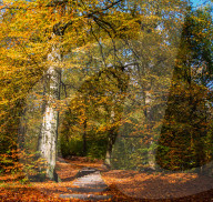 FEATURE: So schön ist der Herbst in Yorkshire