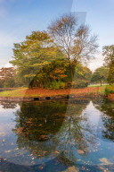 FEATURE: So schön ist der Herbst in Yorkshire