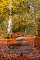 FEATURE: So schön ist der Herbst in Yorkshire