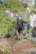 NEWS: Michelle Obama gärtnert mit Schulkindern im Weissen Haus