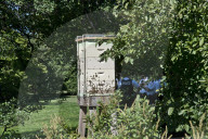 NEWS: Michelle Obama gärtnert mit Schulkindern im Weissen Haus