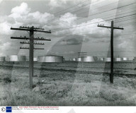 PEOPLE: Zum 50. Todestag von Dorothea Lange (11.10.)