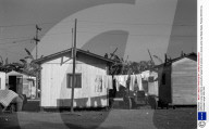 PEOPLE: Zum 50. Todestag von Dorothea Lange (11.10.)
