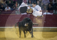 FEATURE: Traditioneller Stierkampf in Zaragoza, Spanien 