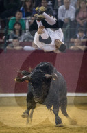 FEATURE: Traditioneller Stierkampf in Zaragoza, Spanien 
